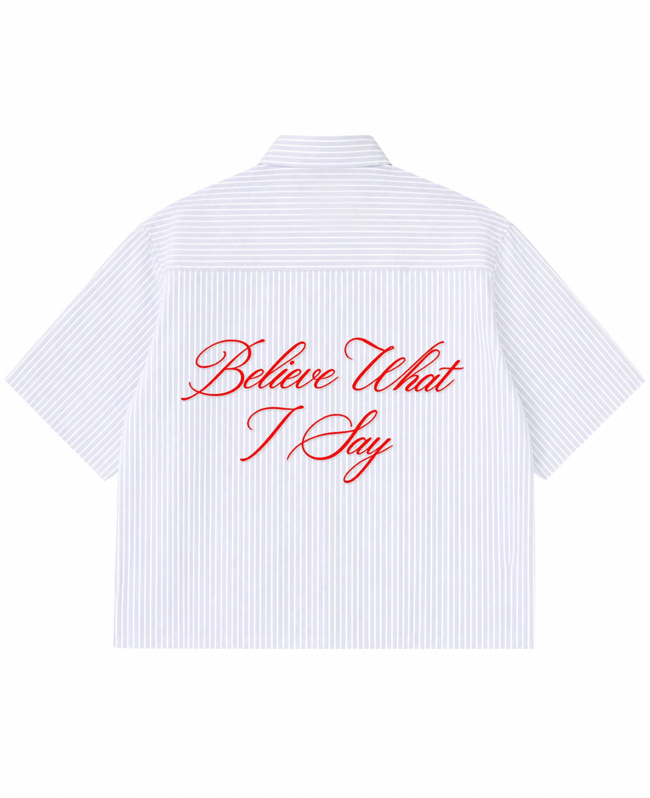 Blue Striped Oxford Boxy Shirt Back Design